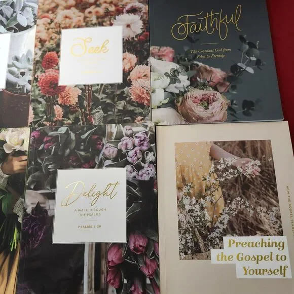 Daily Grace Co Bible Study Lot Psalms Ruth Sermon Mount Devotionals 7pc - Picture 3 of 8